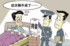 怀化债务清欠服务